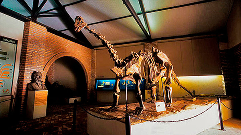 Museus de Belo Horizonte - Museu de Ciências Naturais Puc MG