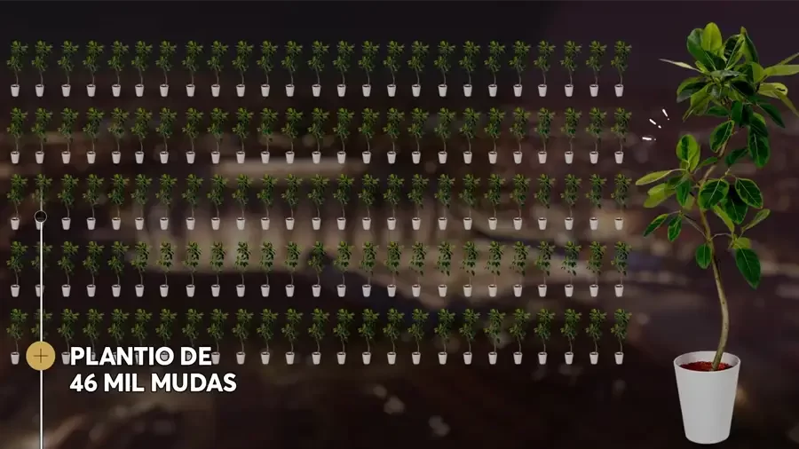 Arena MRV sustentabilidade